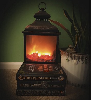 photograph of a stack of books, with a copy of In These Hallowed Halls, edited by Marie O'Regan and Paul Kane, lying on top - in front of a burning fire. Alongside is a plant in a cream planter