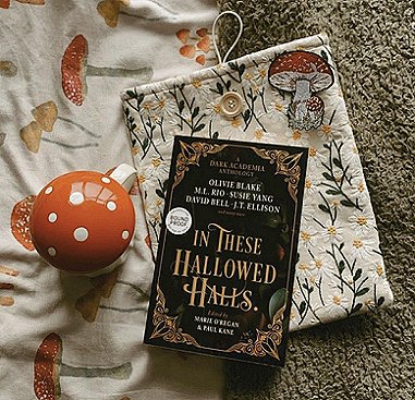 Image of a copy of In These Hallowed Halls, edited by Marie O'Regan and Paul Kane, lying on top of a floral cloth bag with appliqued button and mushrooms, lying on a grey fleece and a cream cloth decorated with mushrooms. Also featured a mushroom mug