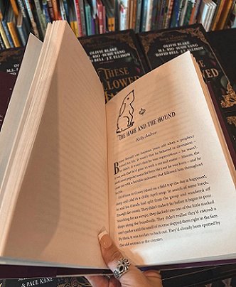 photograph of a woman's hand holding a copy of In These Hallowed Halls, edited by Marie O'Regan and Paul Kane, open to the title page of the story The Hare and the Hound by Kelly Andrew. The page has been decorated with a drawing of a hare in the top lefthand corner