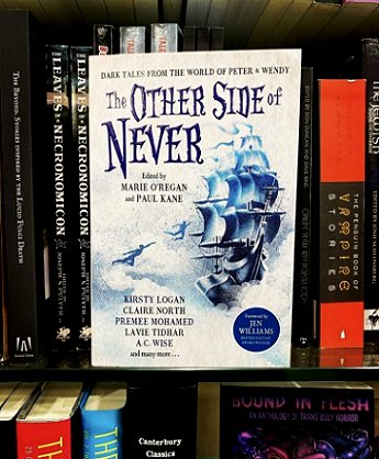 Bookshelf with copy of The Other Side of Never face-out