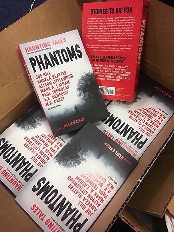 Box of contributor copies of Phantoms, edited by Marie O'Regan
