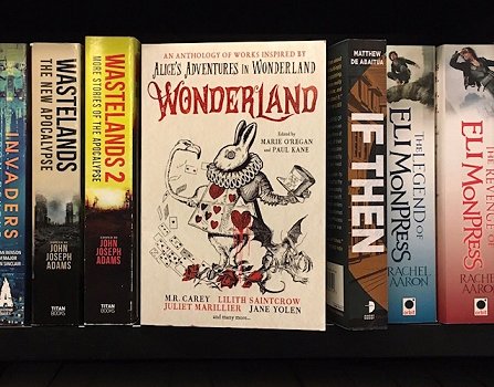 Bookshelf showing Wonderland, edited by Marie O'Regan and Paul Kane